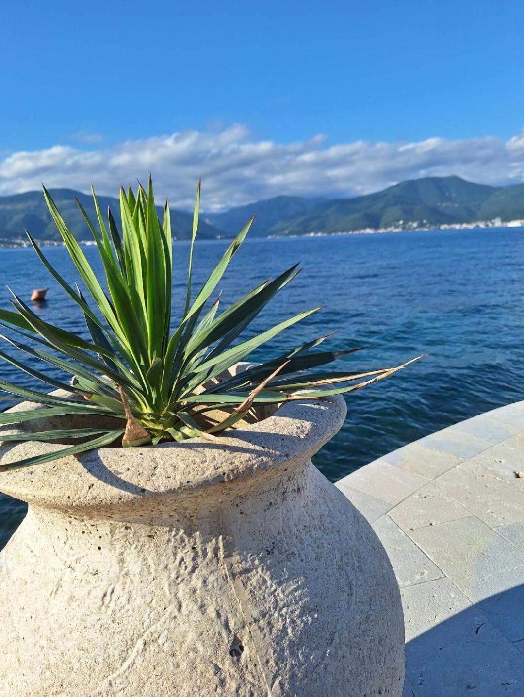 Apartments Ponta Krasici Tivat Ngoại thất bức ảnh